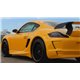 Minigonne laterali sottoporta Porsche Boxster 987 Cayman GT3