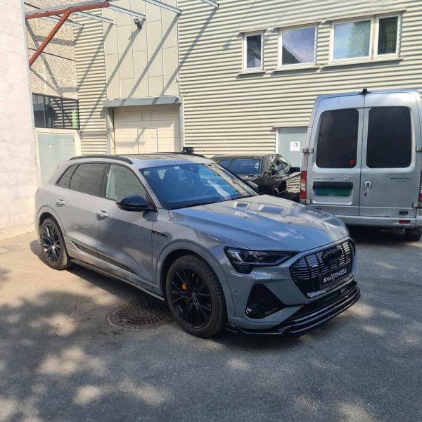 Sottoparaurti splitter anteriore Audi e-Tron S-Line 2018-2022