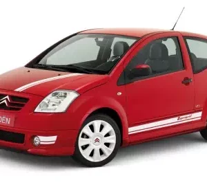 Centralina aggiuntiva Citroen C2 1.6 HDI 110 cv 81 kw