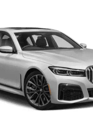 Centralina aggiuntiva BMW Serie 7 G11 LCI 2019- 730d 265 cv 194 kw