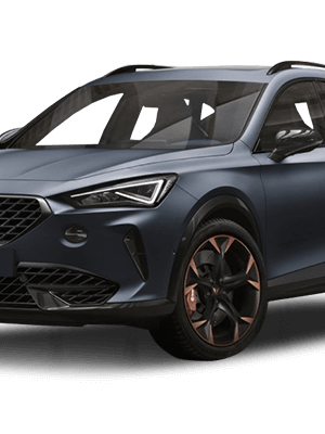 Centralina aggiuntiva CUPRA Formentor 2.0 TDI 150 cv 110 kw