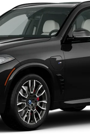 Centralina aggiuntiva BMW X5 G05 LCI 2023- xDrive 30d MildHYBRID 298 cv 219 kw