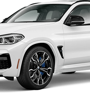 Centralina aggiuntiva BMW X4 G02 2018- M 3.0 BiTurbo 510 cv 375 kw