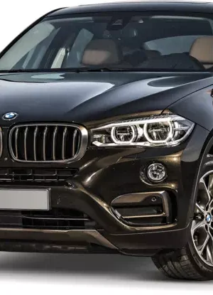 Centralina aggiuntiva BMW X6 F16 2014-2019 xDrive 3.0d 249 cv 183 kw