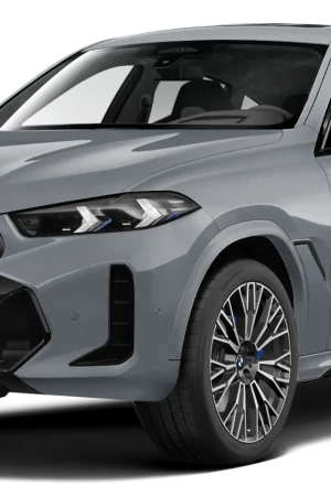 Centralina aggiuntiva BMW X6 G06 LCI 2023- xDrive 30d MildHYBRID 298 cv 219 kw