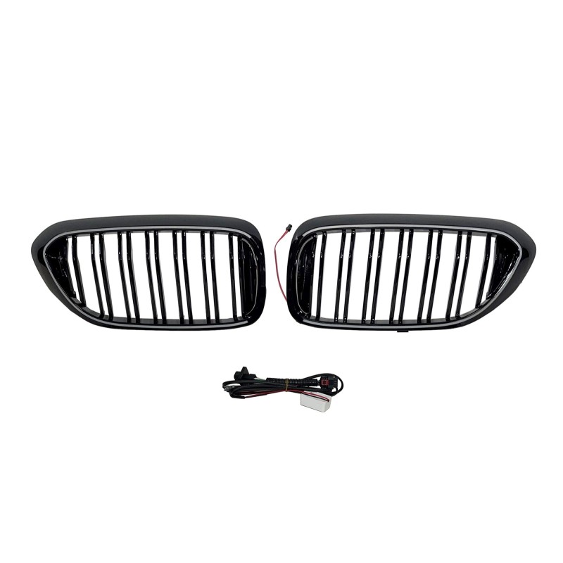 Griglia calandra anteriore BMW Serie 5 G30 / G31 con LED