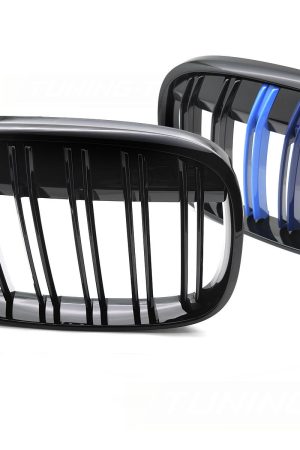 Griglia calandra anteriore BMW X1 F48 2015-2020 Tricolor